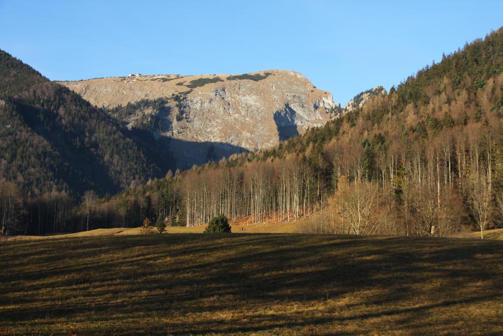 Haus Seeschwalbe Saint Wolfgang Esterno foto